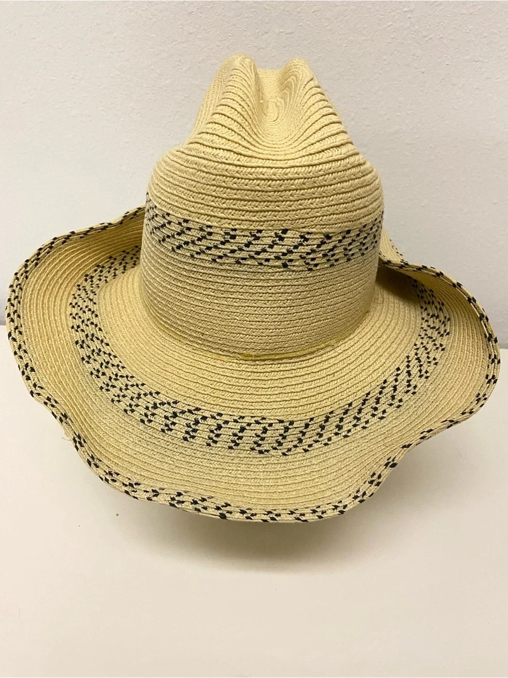 Kenny Chesney Straw Cowboy Hat Tour 2009 Sun City Carnival J hats Country Music